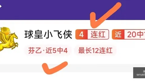 世界杯三连胜10胜8佳绩全力以赴，再创辉煌